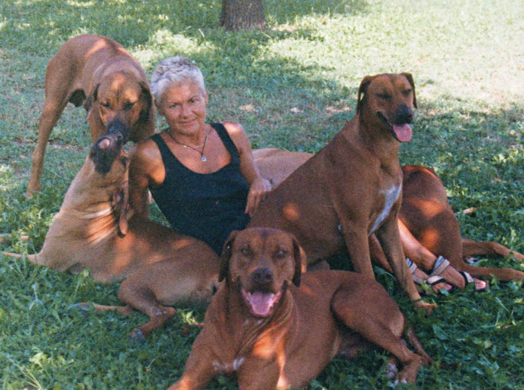 cani rhodesian ridgeback